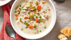 Main dish - Crockpot Cream of Chicken and Mushroom Soup recipes