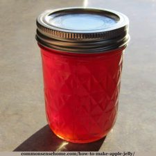 How to make apple jelly without pectin recipes - Canning amp