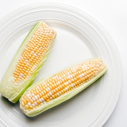 Spectacular Can You Freeze Corn In The Husk Capture in 4K