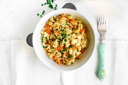 Baby food - 9 month old baby food recipes vegetarian