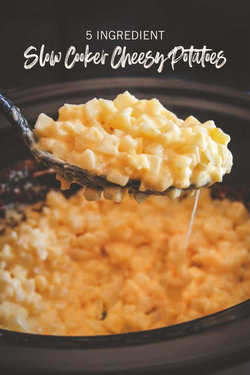 Crock pot cheesy potatoes for a crowd recipes - Main course
